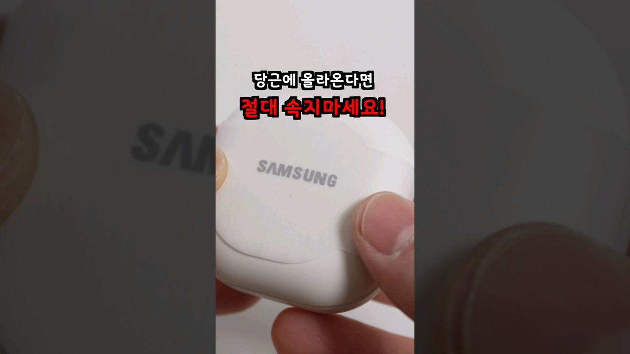 당근에 올라오면 절대 속지마세요! 1만원 갤럭시 버즈2 프로 짝퉁 주의