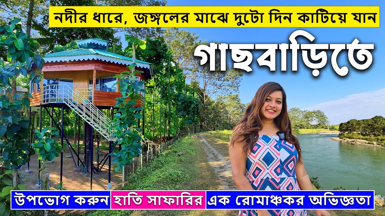 জঙ্গলের মাঝে গাছবাড়িতে এক অভিনব অভিজ্ঞতা | SISAMARA | JALDAPARA | DOOARS | Jaldapara Rhino Cottage