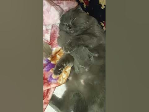 Обнимашки с мамой - YouTube