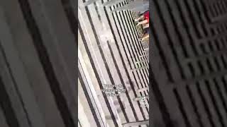 Fatih Terime Pandik Atan Çocuk