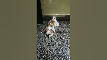 now ... sleeping time 😴😴😴.. don