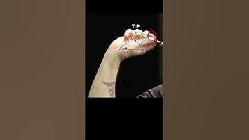 PHIL TAYLOR DARTS grip 🎯 #darts #ai #pdc #philtaylor