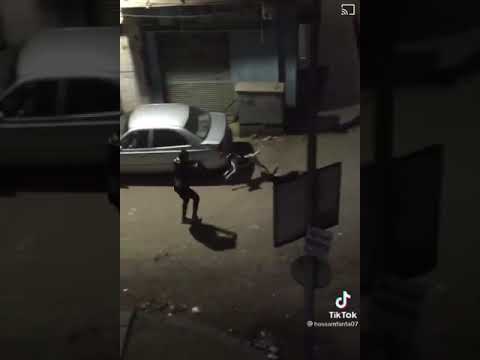 هجوم كلاب الشوارع فى مصر