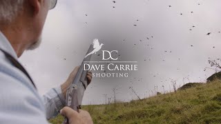 Spectacular September Partridge (Dave Carrie Shooting)