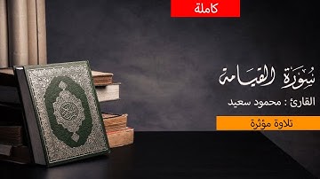 سورة القيامة كاملة للقارئ محمود سعيد / صوت في قمة الخشوع ينسيك الدنيا وما فيها