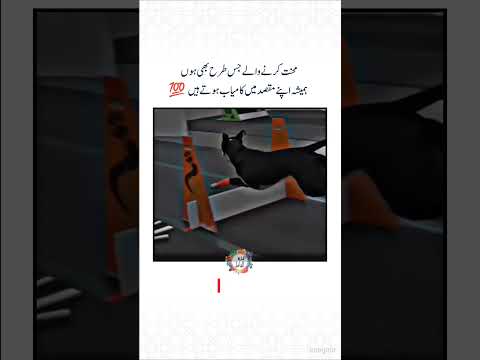 Mehnat Karny Waly💯Motivational Video Mehnat Karny Waly💯Motivational Video