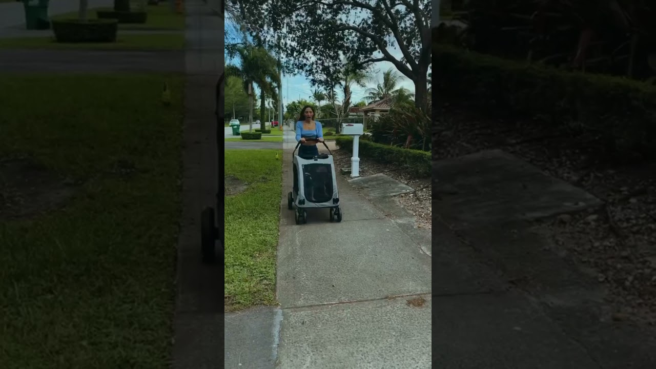 abella danger 😋🥰😘😍🐶🐶🐶