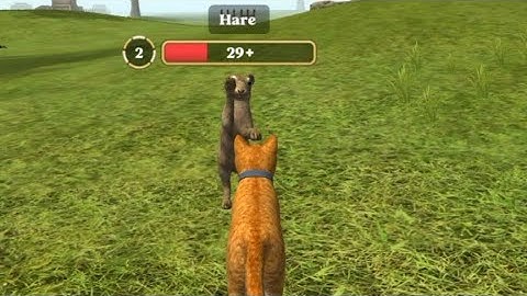 Cat Simulator 2020 : (Hare & Mouse Hunt) Android walk-through Gameplay...!