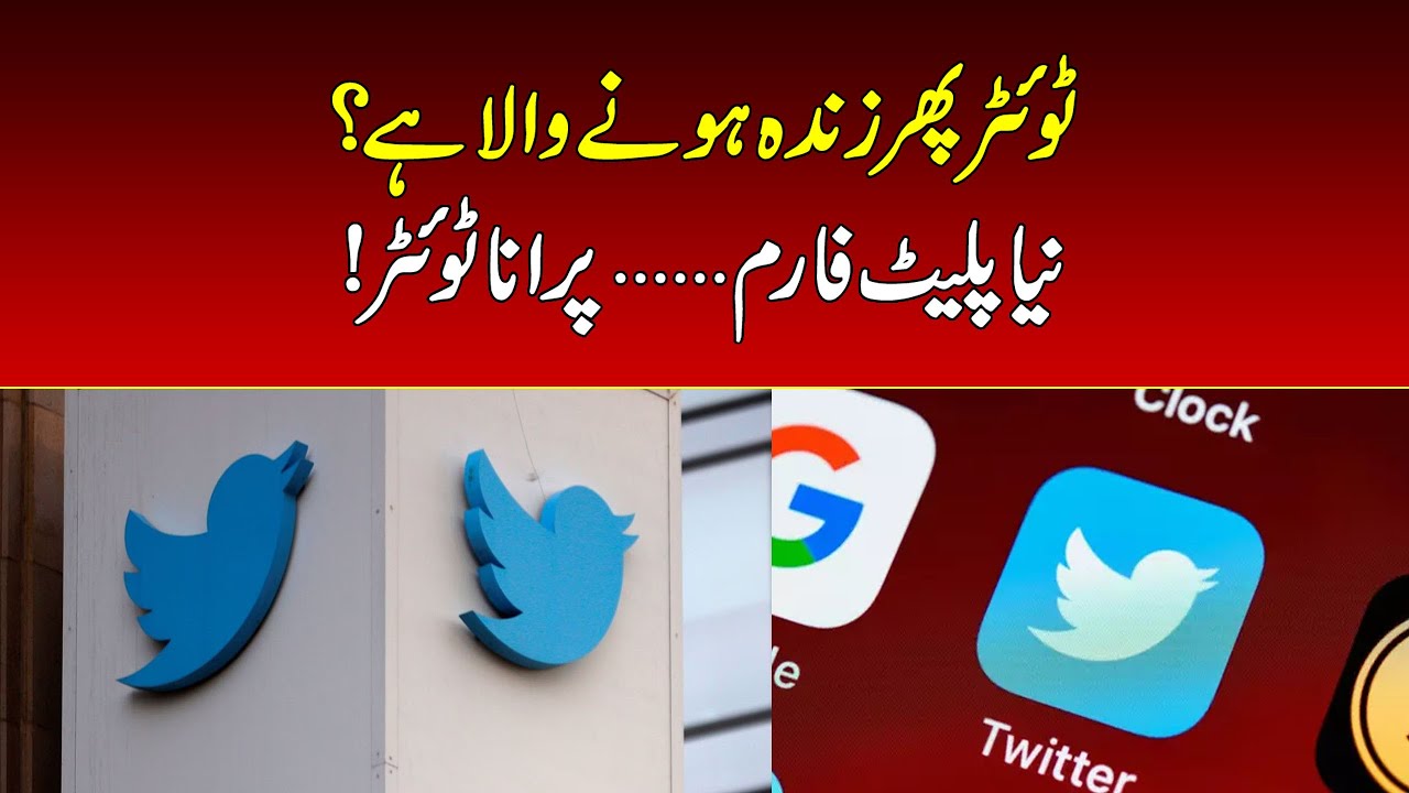 "A Startup Plans to Bring Back the Original Twitter | Operation Blue Bird"