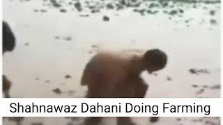 Superstar Shahnawaz Dahani Doing Farming after successful journey of psl 2021