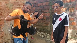 Which of the two caught Arlete's chickens?