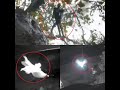 The video camera accidentally captures strange creatures with wings Angels