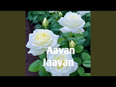 Aavan Jaavan 