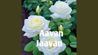 Aavan Jaavan