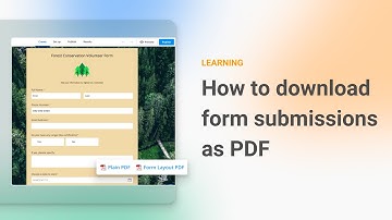 How to download form submissions as PDF | 123FormBuilder