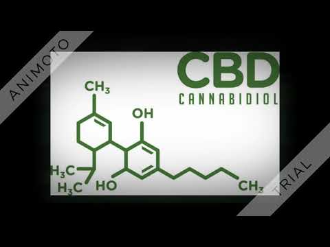 Power Gummies For Blessful Sleep Naturally Gluten Free Shorts Ytshorts Meenakshigupta