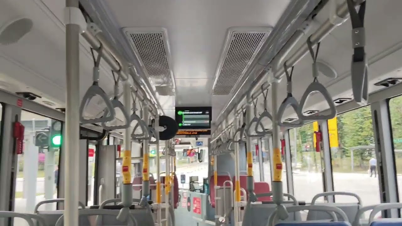 [BYD Ride On Bus 307T] [Empty Bus Interior From 3:15] SMRT BRAND NEW BYD BC12A04 On 307T [SG3297D]