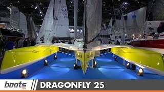 Dragonfly 25: Ein kurzer Blick