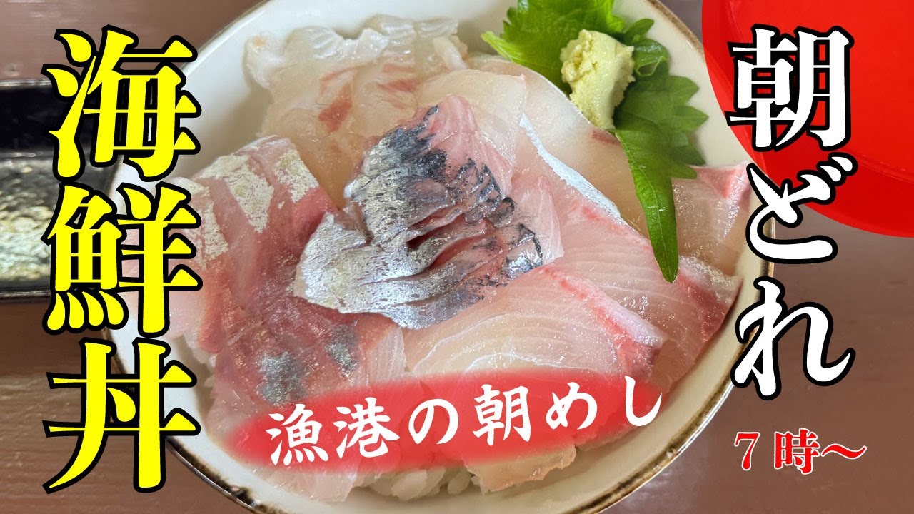 【海女食堂】朝どれ海鮮丼【真鶴港】横浜朝めしチャンネル【朝どれ海鮮丼 漁港の朝めし】