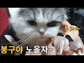 [ 안서야 놀자 ] 220521 강릉1 ㅣ 봉구야~ 놀자