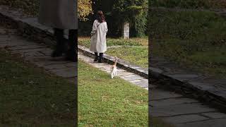 Βοτανικός Κήπος Διομήδους / Diomedes Botanical Garden