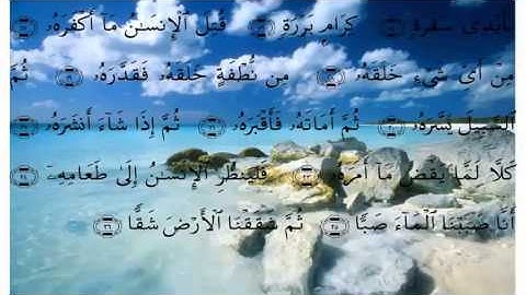 سورة عبس - علي الحذيفي