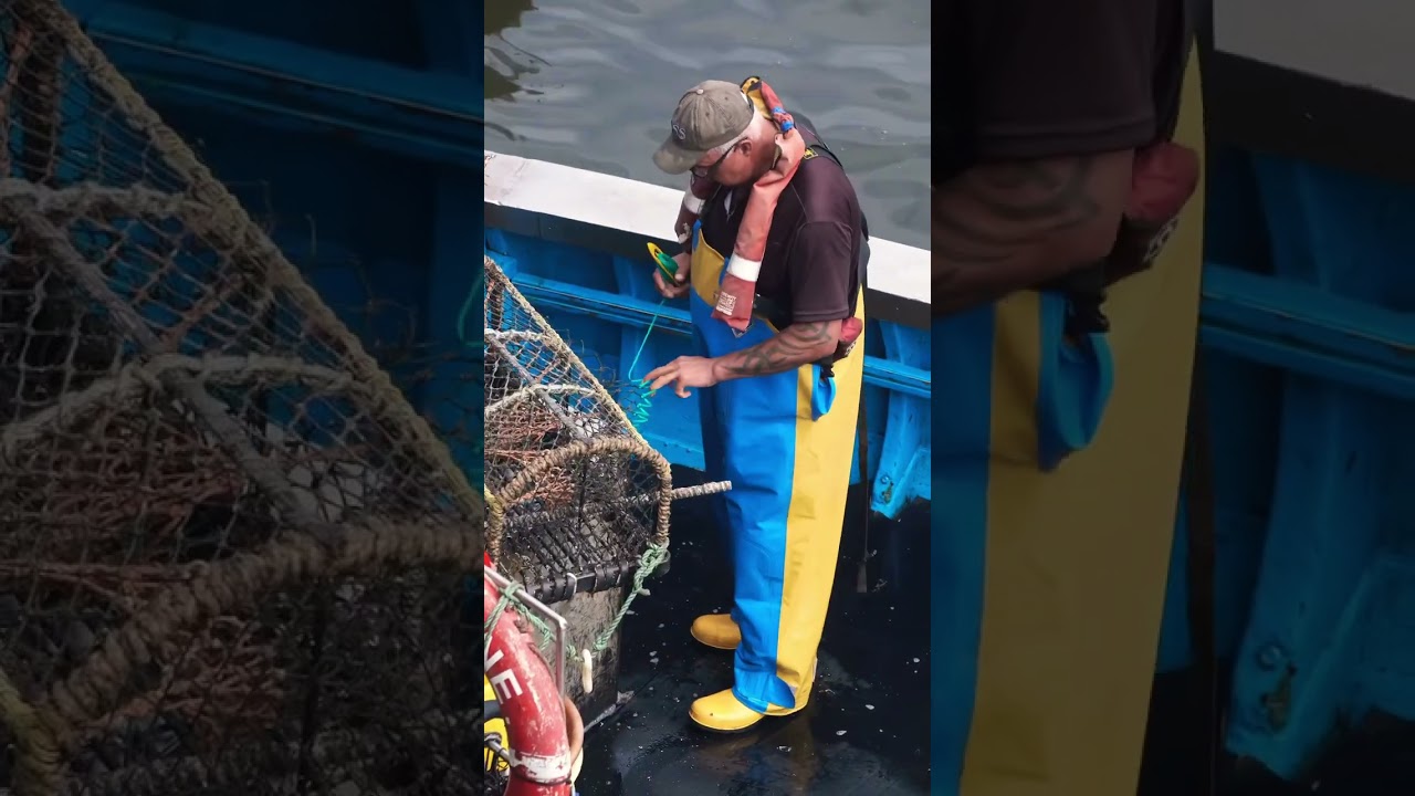 Whitby Lobster Fishermen Doing Running Repairs Today. 