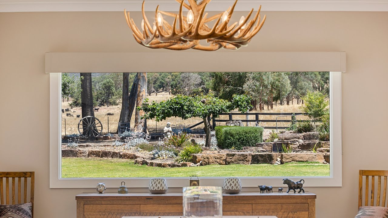 51 Fielding Lane, Piries YouTube