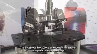 Scientifica SliceScope Pro 2000