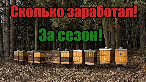 Цена мёда🍯! Сколько заработал на пасеки🐝! Сколько откачал мёда🍯! Выгодно ли держать пчёл!