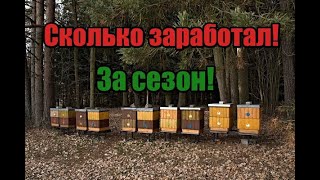 Цена мёда🍯! Сколько заработал на пасеки🐝! Сколько откачал мёда🍯! Выгодно ли держать пчёл!