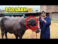 ITNA BADA 🤯 | BHOPAL BAKRA MARKET 2025 VLOG | BHANPUR 😍