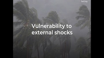 Innovation and digital technologies for a sustainable agri-food systems transformation in the SIDS