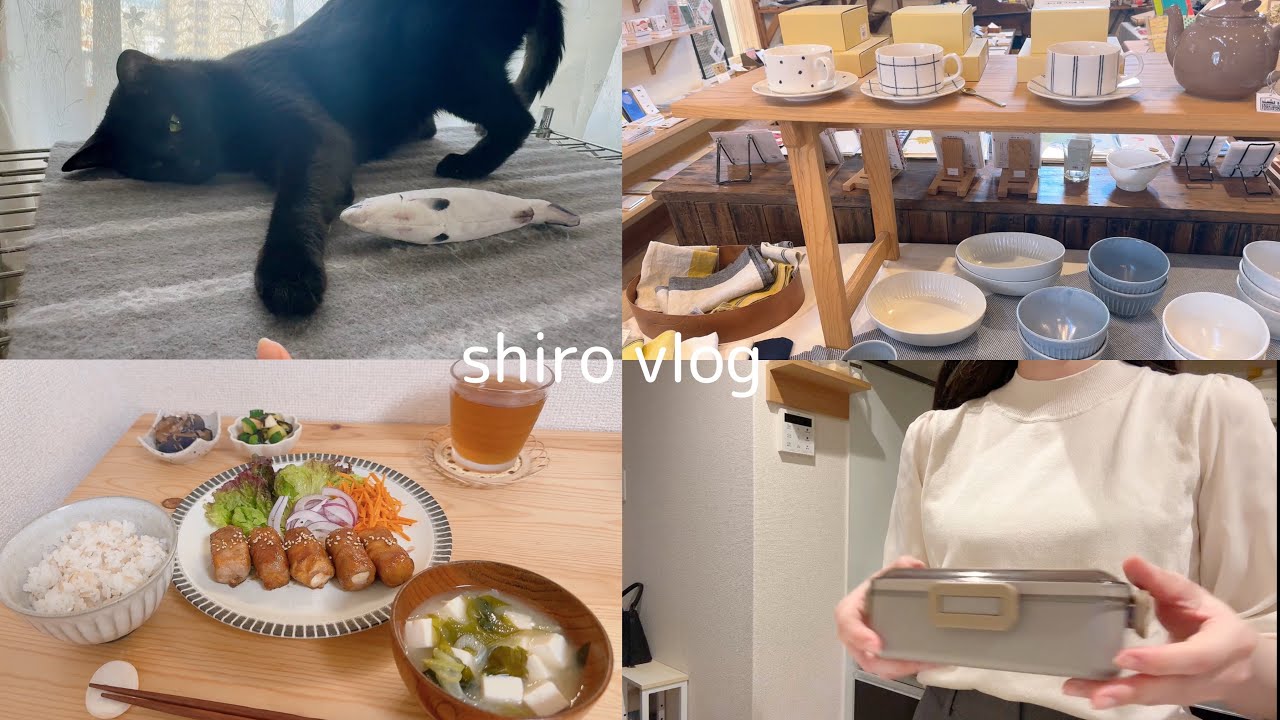 節約弁当を毎日作る一人暮らしOL👩‍💼/ 実家に帰省する夏休み🌻