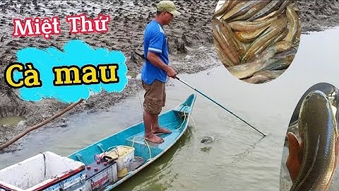 Cùng Xem Cảnh Bắt Cá Của Bà Con Vùng Miệt Thứ Cà mau