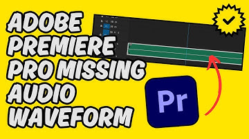 [Easy Fix] Adobe Premiere Pro Missing Audio Waveform