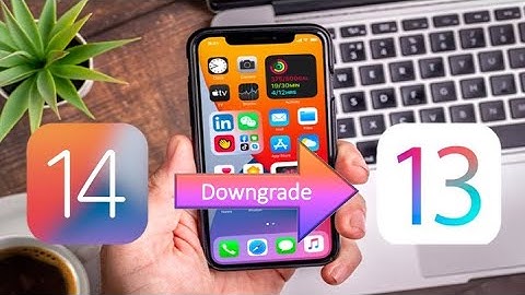 How to Downgrade iOS 14 to iOS 13 |Easy Way