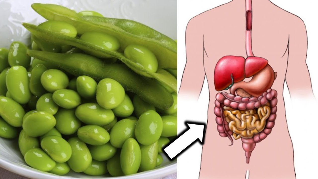 Surprising Health Benefits of Edamame You wish Someone Told You Earlier