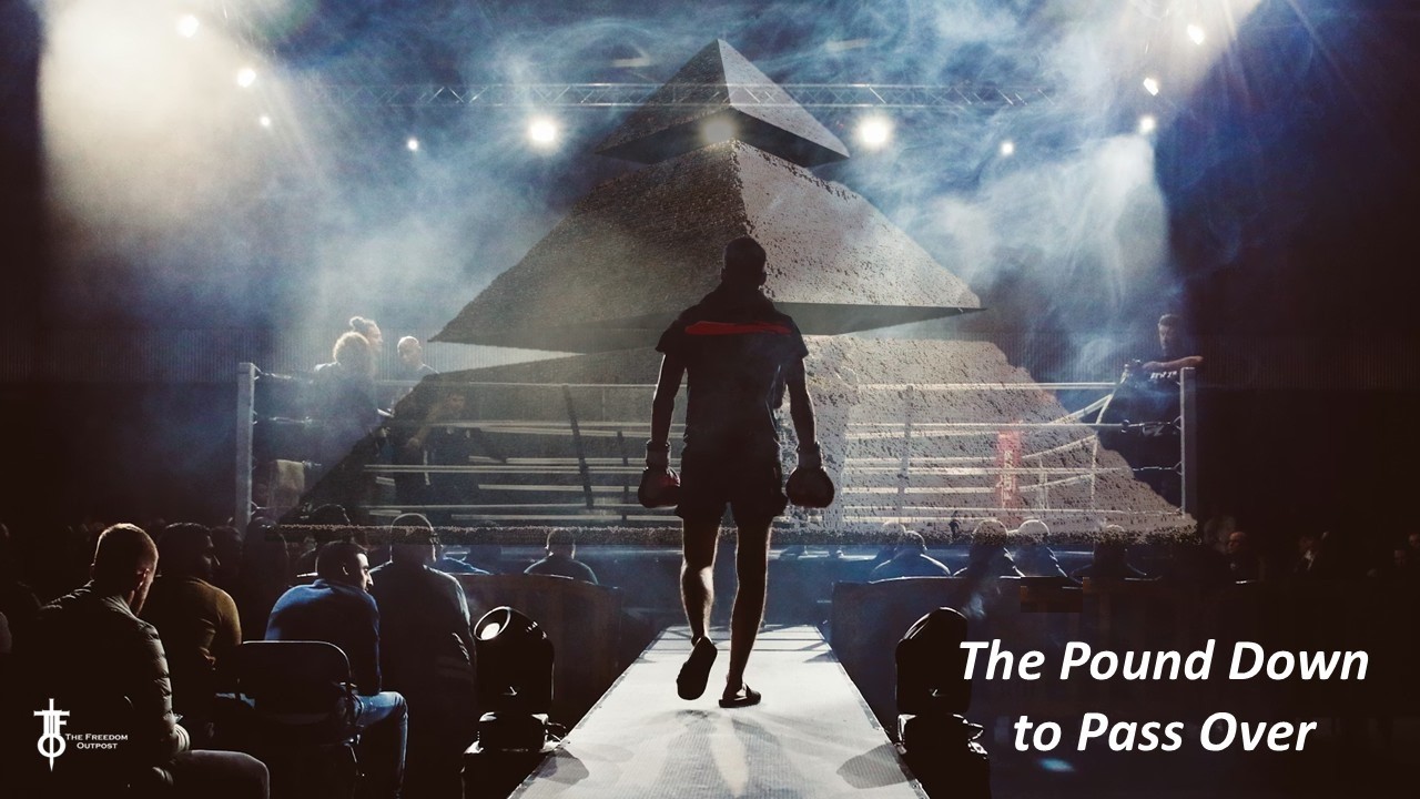 The Flight Deck Replays