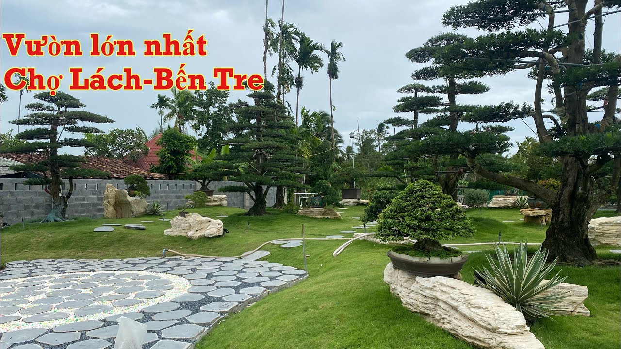 Tham quan khu vườn rộng lớn tại Chợ Lách-Bến Tre