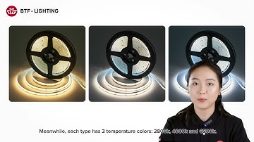 BTF-LIGHTING: FCOB COB Dimming Single Color White light LED Strip