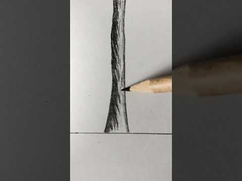 رسم اشجار Drawing For Trees