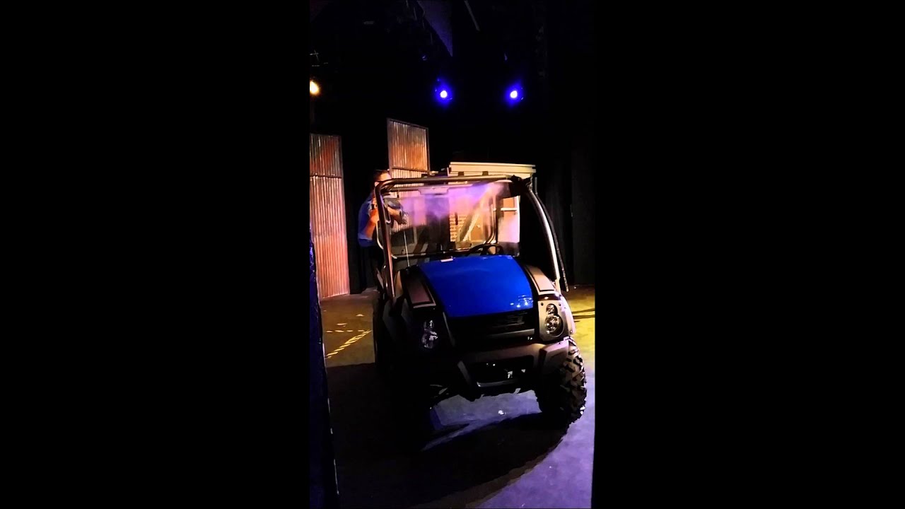 Asian swamp eel size