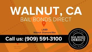 Looking for bail bonds in walnut, california? call us at 909-591-3100