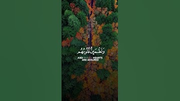 الذين امنوا وتطمئن قلوبهم بذكر الله ||تلاوة خاشعة تريح القلب❤️📖#سورة_الرعد #حالات_واتساب دينية☘️🌿