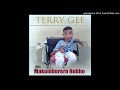 Terry Gee - Makomborero Hobho