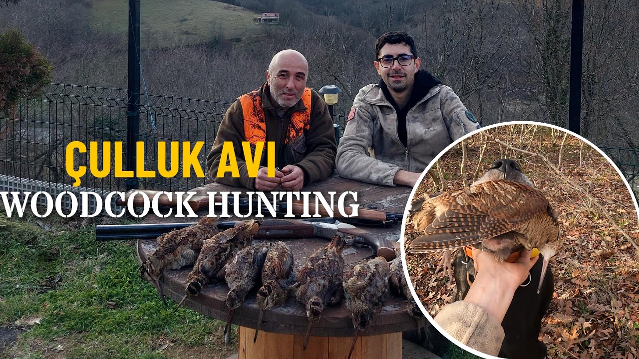 Çulluk Avı 2024 4K HD , Woodcock Hunting 2024 , Caccia alla beccaccia ...