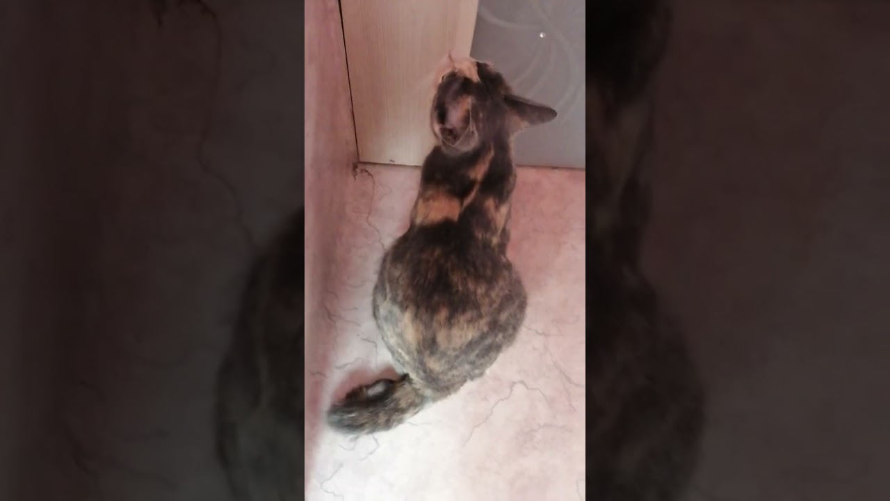 27 января 2026г. Сбербанк 2202203654418625 Елена К. Kaspi +7 771 194 42 69 Глеб Т.