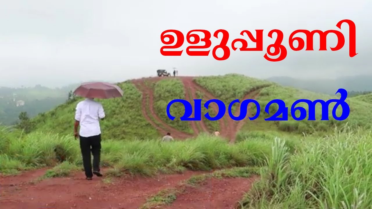 Vagamon | Uluppuni | Off Road Jeep Ride | Kerala | ഉളുപ്പൂണി വാഗമൺ | Simple Things