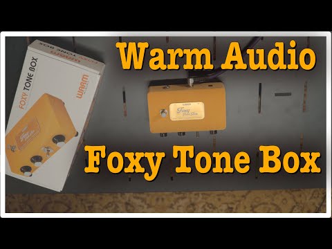 ギター WARM Audio Foxy Tone Box Amazon.com: Warm Audio Foxy Tone Box Fuzz Pedal : Musical
